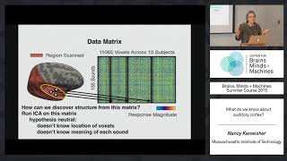 Lecture 7.3: Nancy Kanwisher - Human Auditory Cortex
