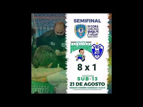 Melhores momentos goleiro Eric - Sub13 Pelezinho