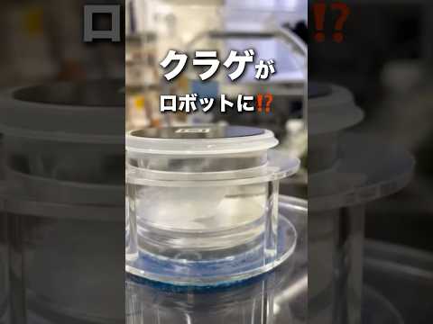 バイオデータサイエンス学科 生物と機械をつなぐサイボーグ
