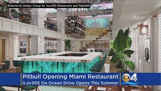 Singer Pitbull (Mr.305) Is Opening A Restaurant In Miami Beach