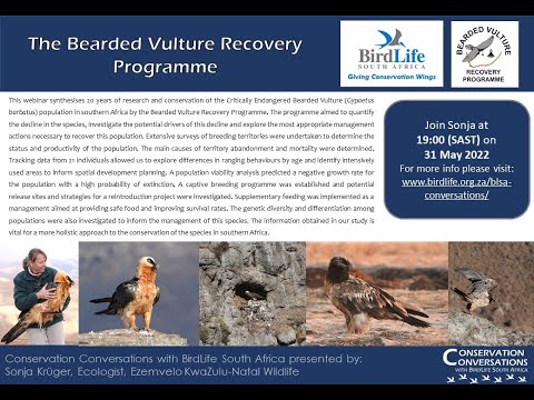 Conservation Conversations: The Bearded Vulture Recovery Programme – Dr Sonja Krüger (31 May 2022)