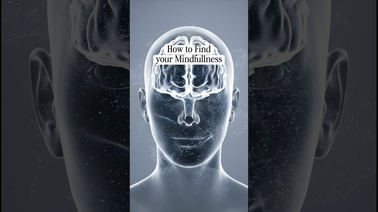 How to find your Mindfulness 🧘‍♀️