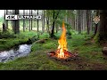 4K This Is A Real Forest Campfire Soothing Sounds Of Nature Ultra HD
