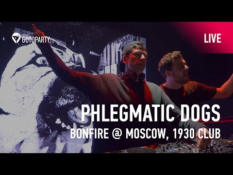Phlegmatic Dogs @ Bonfire Moscow (live aftermovie) - 08.03.2020