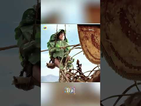 The Boy, The Bear & The Honey Attack! 🍯🐻🐗 #trending #davinci #betrayal #movie #shortsfeed #film