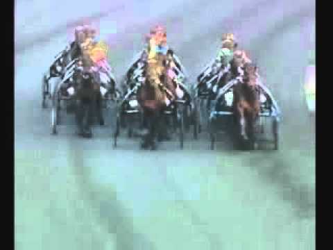 Prix d'Amerique 2006 -Gigant Neo