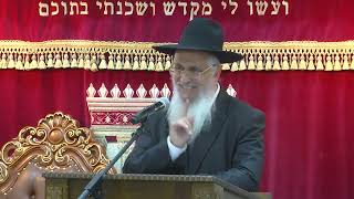 חנוכה-הודאה בהלל ועל הניסים (הרב יורם סרי) - התמונה מוצגת ישירות מתוך אתר האינטרנט יוטיוב. זכויות היוצרים בתמונה שייכות ליוצרה. קישור קרדיט למקור התוכן נמצא בתוך דף הסרטון