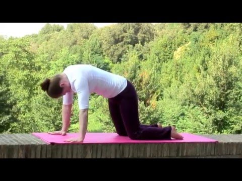 Shakti Dance®  - The Yoga of Dance - Clips of 8 Phases, by Sara Avtar