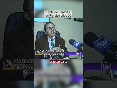 Brote de hepatitis en Renaico años 90