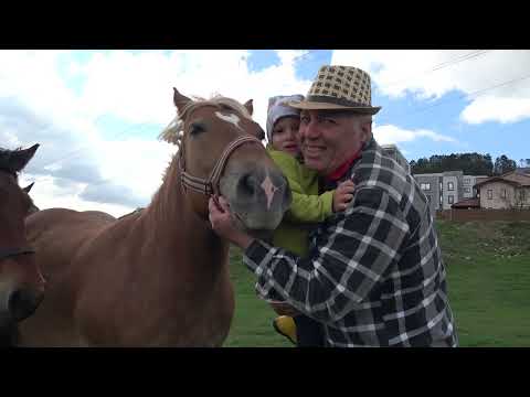 Caii lui Nea Costel de la Cluj ep.169 - 2023 Nou!!!