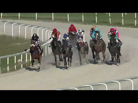 2023.08.13. 9. Futam - MÁGNÁS DÍJ (V.kat.) (szintetikus pálya)