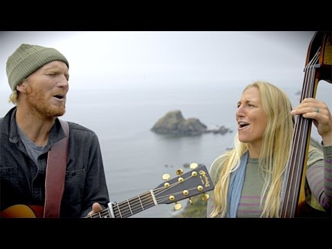 The Humboldt Live Sessions - The Shapes