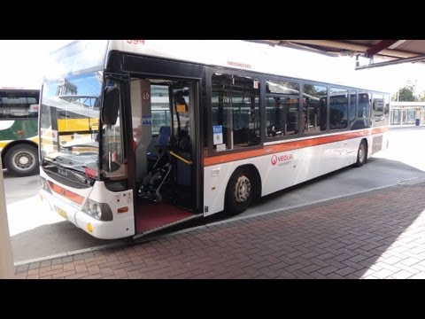 Transdev NSW M/O 8839 - MAN A69 18.280 (ZF) (Custom Coaches CB60)
