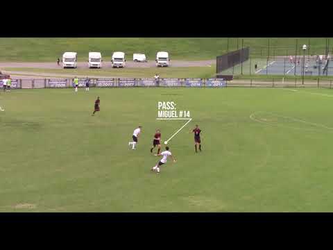 Miguel Reis - Highlights