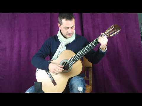 Comparison Simon Marty cedar vs spruce www.concert-classical-guitar.com