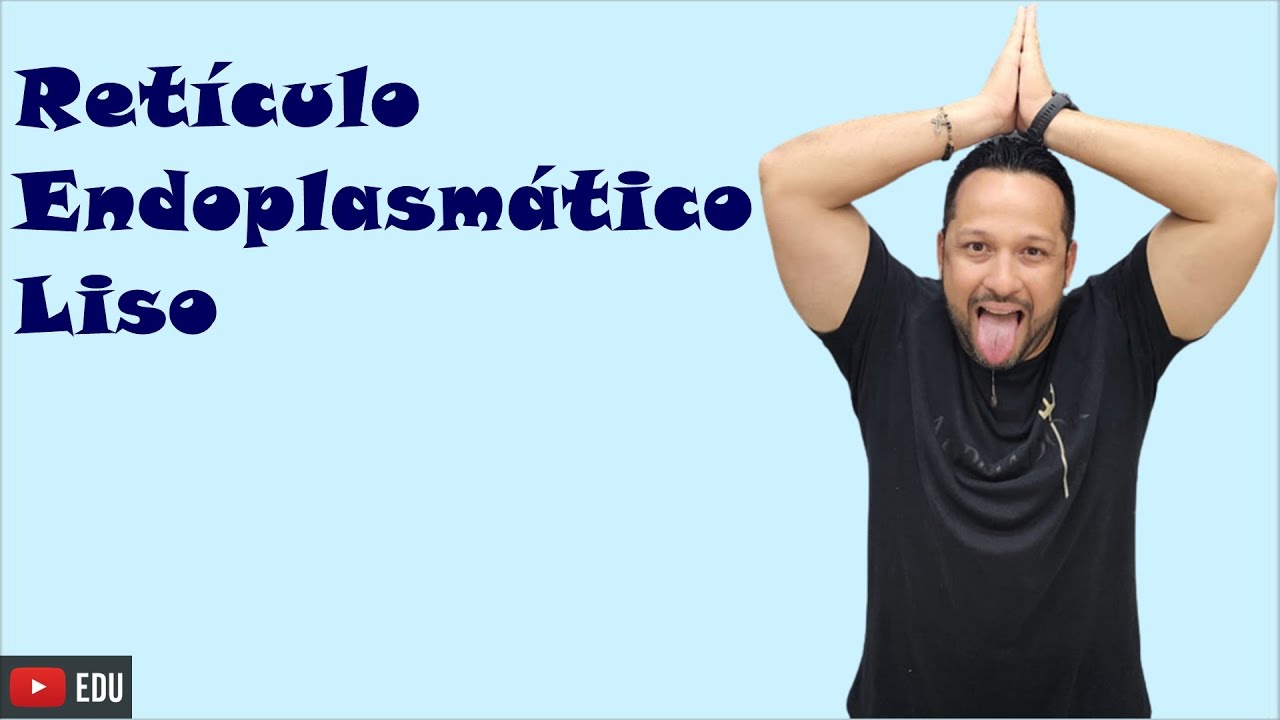Retículo Endoplasmático Liso ou Agranular - Características e Funções - Citologia