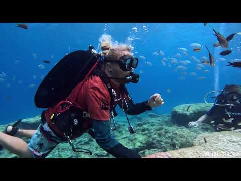 Cyprus Scuba Diving : Protaras : Green Bay : 14 October 2022