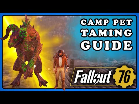 Fallout 76: How To Tame a Pet for CAMP. Animal Taming Guide Beginner to Advanced. Find a Pet.