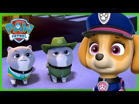 Észvesztő mentés: A Királyi Cicusok megmentése - Mancs Őrjárat - PAW Patrol epizód Magyar rajzfilmek