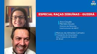 Miniatura do vídeo