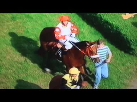 Nagroda Derby - 2.07.1995 - Numerous (Who Knows - Normandia)