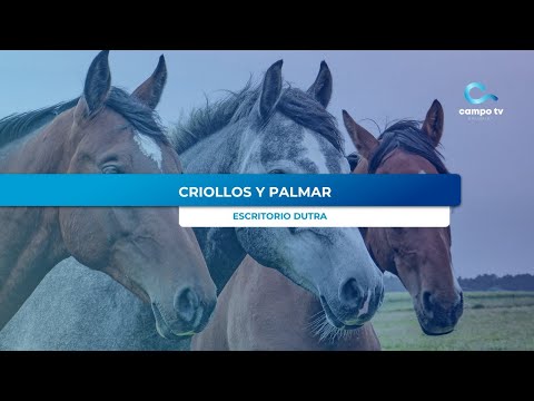 Remate Criollos Sierra y Palmar -Rocha - Esc. Dutra