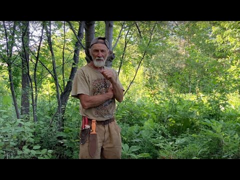 Growing Understory Plants with Michael Pilarski "Skeeter"