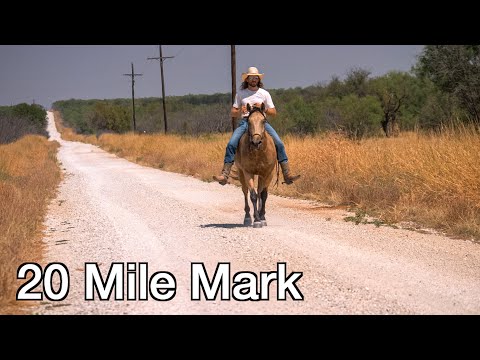 How far can I ride BAREBACK at a trot?! Rodeo Time 346