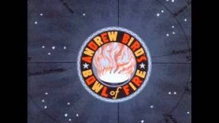 Andrew Bird&#39;s Bowl Of Fire - Wishing For Contentment