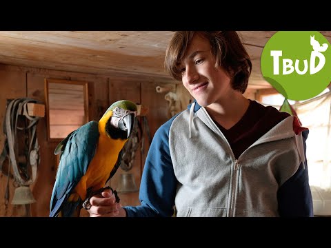 Ausgeflogen (Folge 95) | Tiere bis unters Dach