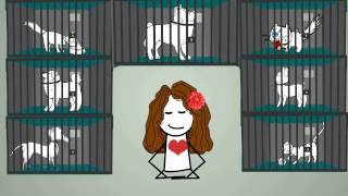 Animal Reiki Animation: Sharing Peace With Animals