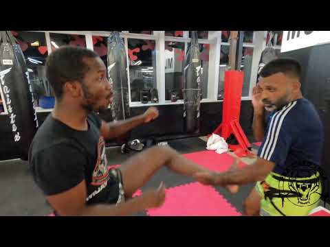 JOSIAS GOMES - The Dark Lion (PART 3)