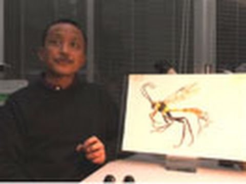 原画　虫　昆虫　動物画　絵画　アクリル画　現代アート　細密画　一点物 9784034370704-1-260x305.jpg