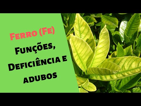 , title : '(Ferro Fe) para as plantas Funções, Sintomas, Diagnostico e adubos .I. Série Nutrientes'