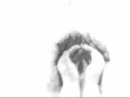 Arcanta-there is no god but god