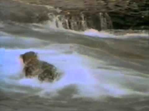 John West - 1990 Salmon TV Ad