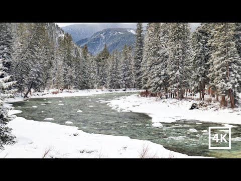 4K Snowy Mountain River | Winter River Nature Sounds | White Noise | Relaxing Winter Nature Scene