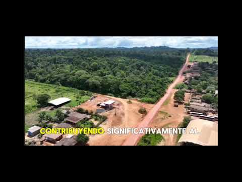 EL PULMÓN DEL MUNDO