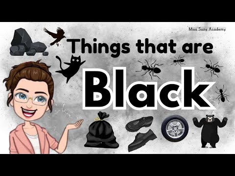 THINGS THAT ARE BLACK | Learning Colors for Kids | Black Color Objects