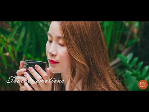 Tp＆b 天然有機精油芳療SPA 【部落客體驗推薦】 EP24｜高雄spa 精油按摩 芳療 高雄spa推薦 feat.部落客【愛蜜。樂芙愛美麗】 為身心充電 高雄SPA頂級客製化精油芳療之旅