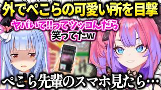 ヴィヴィぺこらの意外な一面を知り嬉しくなった話【綺々羅々ヴィヴィ/ホロライブ切り抜き】