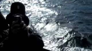 British Sea Power - Scottish Island Adventure