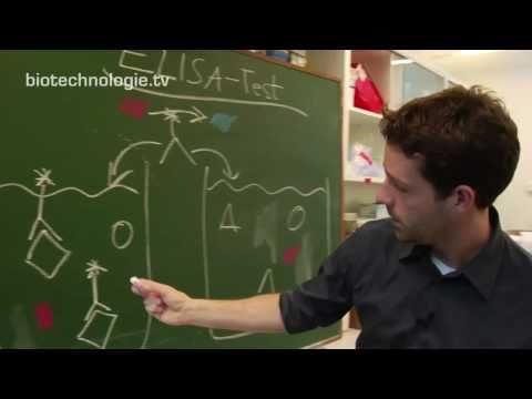 Kreidezeit 47: ELISA-Test