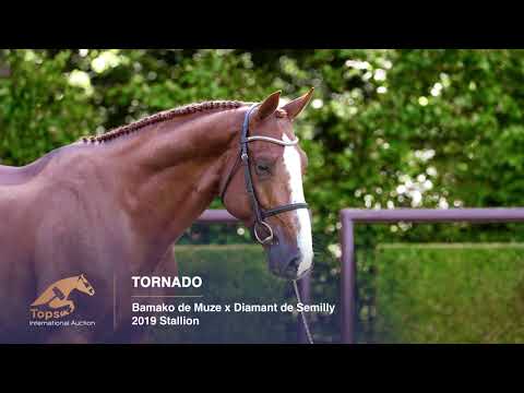 Tornado — headshot
