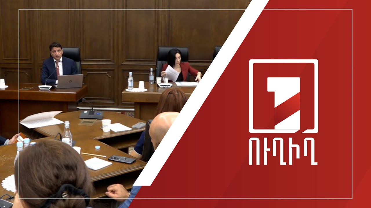 2024-ի պետբյուջեի կատարողականը՝ ԱԺ մշտական հանձնաժողովների համատեղ նիստում | ՈՒՂԻՂ