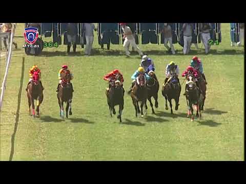 RM36 R4 | Toro Bravo | A.Aucharuz