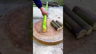 Download lagu #farming #enjoyrurallife #naturerurallife #rurallife #vegetables #garden #rogator #short mp3