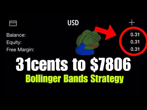 0.31 cents into $7806 ,Step by Step for small accounts