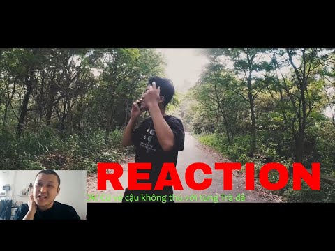 REACTION BACK 8 KAMIKAZE- ICD : CẢM TỬ HAY CẢM TÍNH ? | DABEE OFFICIAL
