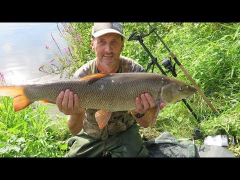 BIG BARBEL FISHING ON THE RIVER TRENT AT FISKERTON  - VIDEO 58